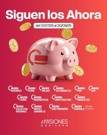 MISIONES PRORROGÓ LOS PROGRAMAS AHORA HASTA SEPTIEMBRE DE 2025 imagen-80