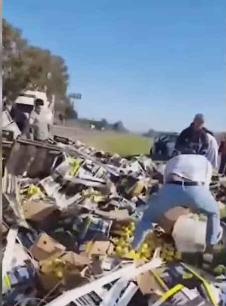 Video: el momento en que vuelca un camión con limones y los vecinos lo saquean imagen-9