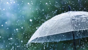 Se espera una semana lluviosa en Posadas: rige advertencia amarilla por tormentas imagen-2