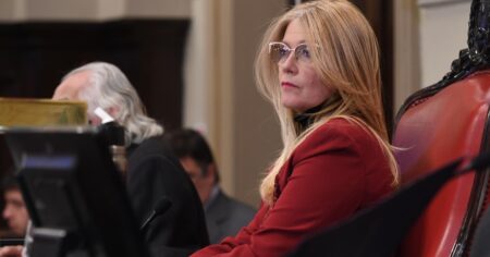 Con un furcio y una chicana a Cobos: así fue el momento en que Verónica Magario desempató la reelección indefinida en el Senado bonaerense imagen-8
