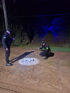 Puerto Esperanza: encontraron un margay atropellado en un camino vecinal imagen-2