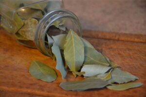 Cómo atraer la abundancia en el hogar con hojas de laurel, según el Feng Shui imagen-3