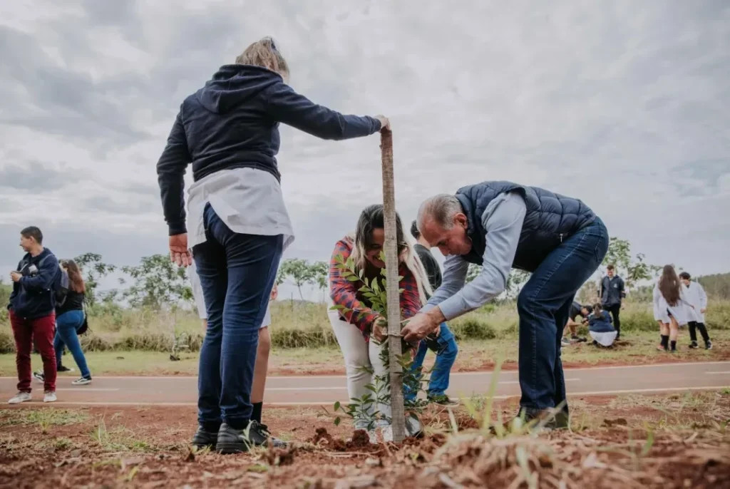 Día Provincial del Árbol: Posadas fortalece sus infraestructuras verdes junto a la comunidad y el sector privado imagen-3