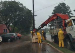 Avanzan las reparaciones del tendido eléctrico en Puerto Iguazú tras el temporal imagen-70