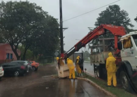 Avanzan las reparaciones del tendido eléctrico en Puerto Iguazú tras el temporal imagen-69
