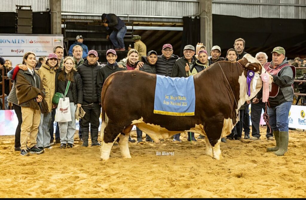 Emprendedores: irrumpieron por primera vez en una competencia de alto nivel y dieron el golpe con un toro imagen-101
