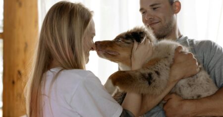 Los beneficios de tener un perro en casa, según Harvard imagen-8