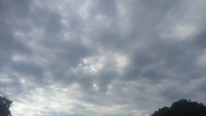 Frente polar en Misiones: temperaturas bajo cero, heladas y retorno de lluvias hacia mitad de semana imagen-3