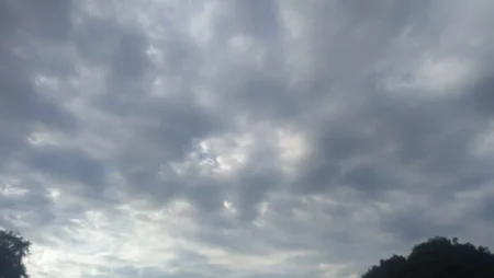 Frente polar en Misiones: temperaturas bajo cero, heladas y retorno de lluvias hacia mitad de semana imagen-11
