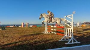 Más de 130 jinetes de todo el país competirán en Posadas en una nueva edición del Torneo Federal de Saltos Hípicos imagen-7