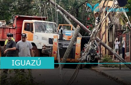 Más de 30 postes caídos y tendido destruido: el impacto del temporal en la red eléctrica imagen-120