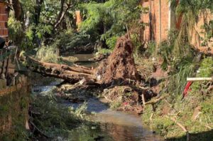 Vecinos de Villa Tacuara reclaman limpieza urgente del arroyo ante pronóstico de intensas lluvias imagen-75