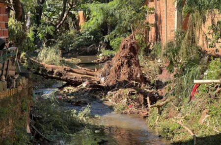 Vecinos de Villa Tacuara reclaman limpieza urgente del arroyo ante pronóstico de intensas lluvias imagen-9