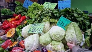 Con la llegada del frío, bajan considerablemente los precios en el Mercado Concentrador de Posadas imagen-4