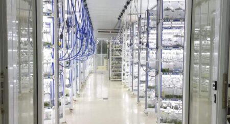 Posadas será sede del Encuentro Nacional de Redes de Biotecnología con eje en salud, ambiente y producción imagen-5