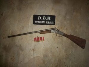 Operativo nocturno en la selva misionera: Frustran caza furtiva, secuestran un agutí y una escopeta imagen-1