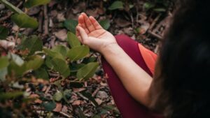 Yoga, Astrología y Cocina Viva: una jornada para sembrar luz en el umbral del invierno imagen-1