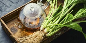 La planta ‘curalotodo’ que depura el intestino y el sistema respiratorio imagen-4