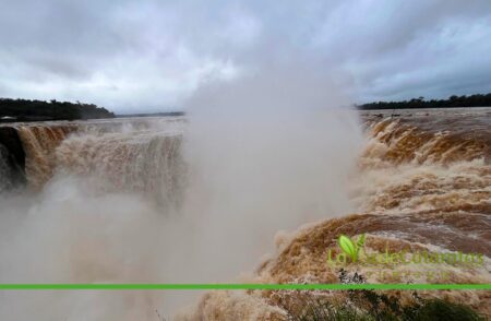 ¡Así están las Cataratas hoy! El caudal alcanza niveles impactantes por las lluvias en la cuenca del Iguazú imagen-8
