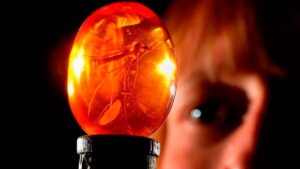 Es la estrella de 'Jurassic Park', pero casi muere en la primera película: fue Steven Spielberg quien le salvó la vida imagen-110