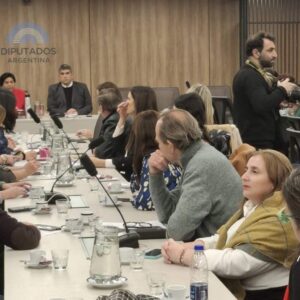 Misiones remarcó la importancia de contar con un Defensor Nacional de los Derechos de NNyA con una mirada federal imagen-1