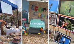 La Ecoferia 2025 convocó a miles de vistantes en Posadas con una jornada de conciencia ambiental, arte y economía circular imagen-3