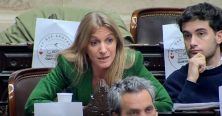 “Callate la boca, vos, gato” y “No tengo huevos, pero me los inflaron”: el cruce a los gritos entre una diputada kirchnerista y su par de LLA imagen-17