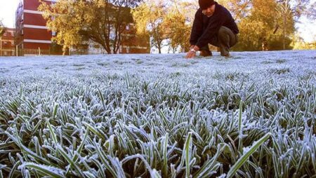Misiones tiembla: hoy se espera el día más frío del año con -4° de sensación térmica imagen-5