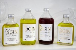 Alma Libre, el gin misionero que conquista paladares en la región: conocé su nuevo propuesta imagen-3