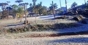 Misiones registró este miércoles la segunda mañana más fría del año, con temperaturas nuevamente bajo cero: dónde golpeó más la ola polar imagen-7