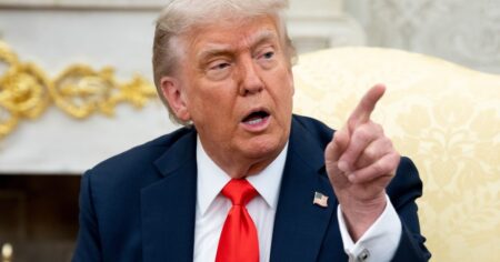 Amenazas, enojo y promesas de cooperación: la reacción de los países tras la prohibición de ingreso a Estados Unidos que impuso Trump imagen-11