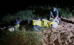 Eldorado: Gendarmería incautó más de 900 kilos de marihuana imagen-67