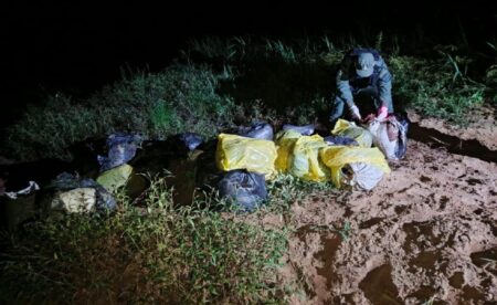 Eldorado: Gendarmería incautó más de 900 kilos de marihuana imagen-8