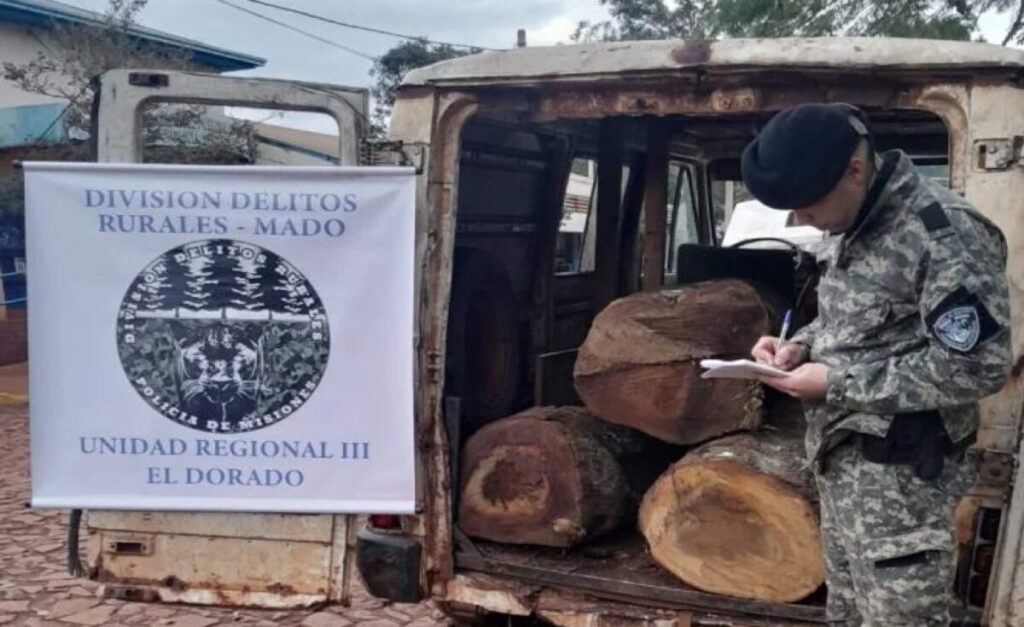Mado: detienen a dos hombres por transportar rollos de laurel sin documentación en una Trafic imagen-4