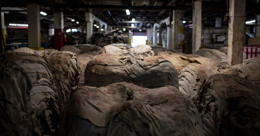 El Gobierno le quitó trabas a la exportación de cueros derogando una norma que beneficiaba a las curtiembres imagen-95