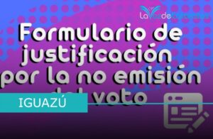 Cómo justificar el no voto en Misiones: el paso a paso para evitar sanciones tras las elecciones 2025 imagen-4