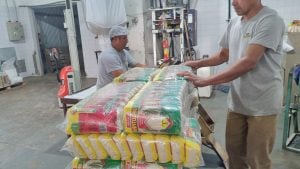 Empresa que elabora un millón de kilos de arroz en Misiones busca producir nuevas variedades imagen-7