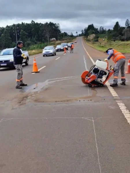 Leandro N. Alem: solicitan circular con precaución por trabajos sobre ruta 14 imagen-8