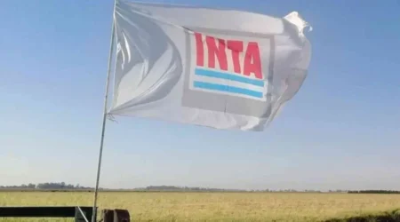 Respaldo absoluto del CoIForM al INTA ante la delicada situación que atraviesa el organismo imagen-22