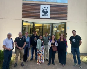 El trabajo de restauración de la selva misionera de Vida Silvestre fue presentado en Brasilia imagen-2