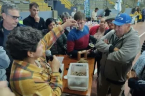 Capioví: con éxito se desarrolla la Fiesta de la Meliponicultura imagen-1