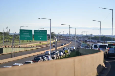 Haene sobre las asimetrías comerciales: “Es urgente una solución para competir en igualdad de condiciones” imagen-5