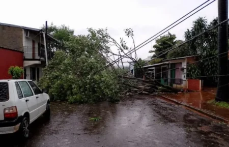 Varios barrios de Iguazú llevan 56 horas sin energía eléctrica tras el temporal imagen-7