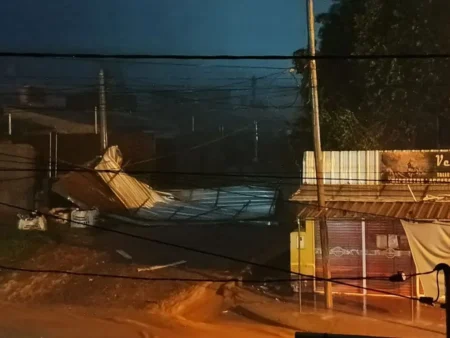 Iguazú bajo tormenta: ráfagas de 80 kilómetros por hora, caída de árboles y servicios afectados imagen-13