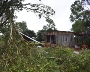Una vivienda quedó intacta en medio del temporal en San Pedro: "Para nosotros fue un milagro" imagen-1