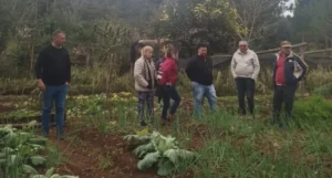Productores de El Alcázar fortalecen sus emprendimientos con apoyo institucional imagen-3