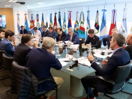 Gobernadores impulsan una reforma fiscal, tras caída de coparticipación imagen-8