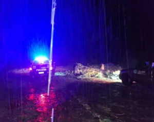 Temporal con características de tornado causó severos daños en Palmera Boca de San Pedro imagen-4