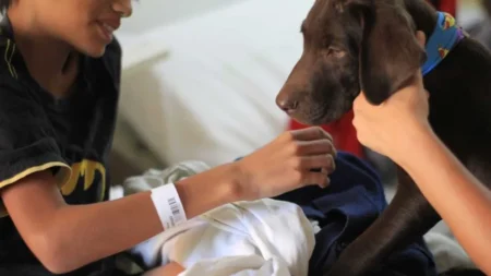 Terapia asistida: bienestar integral con la ayuda de los amigos perrunos imagen-16