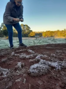 La helada más intensa en ocho años: “Tuvimos 7 grados bajo cero a la intemperie”, señaló el meteorólogo Ángel Olinuk imagen-2